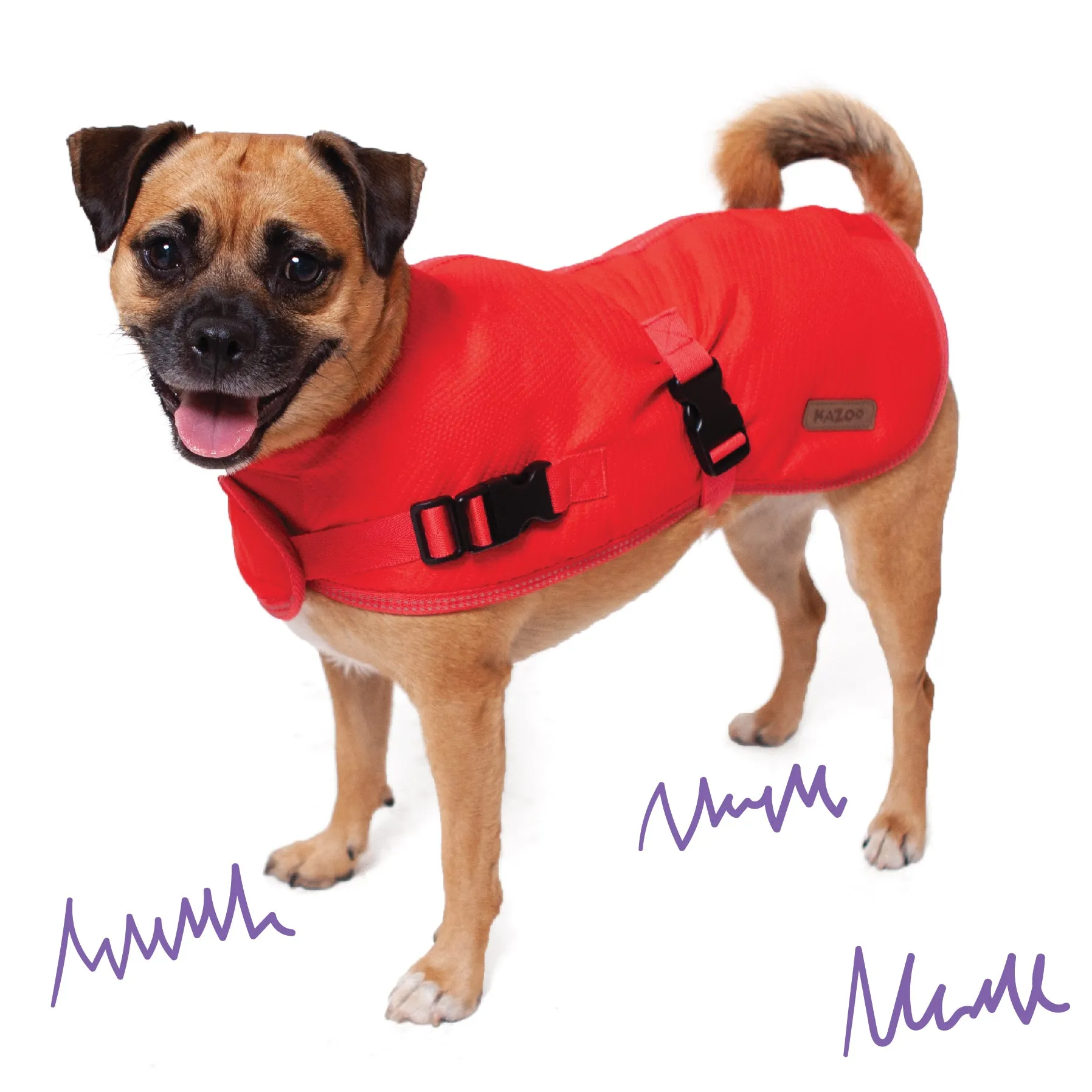 Adventure Dog Coat - Red