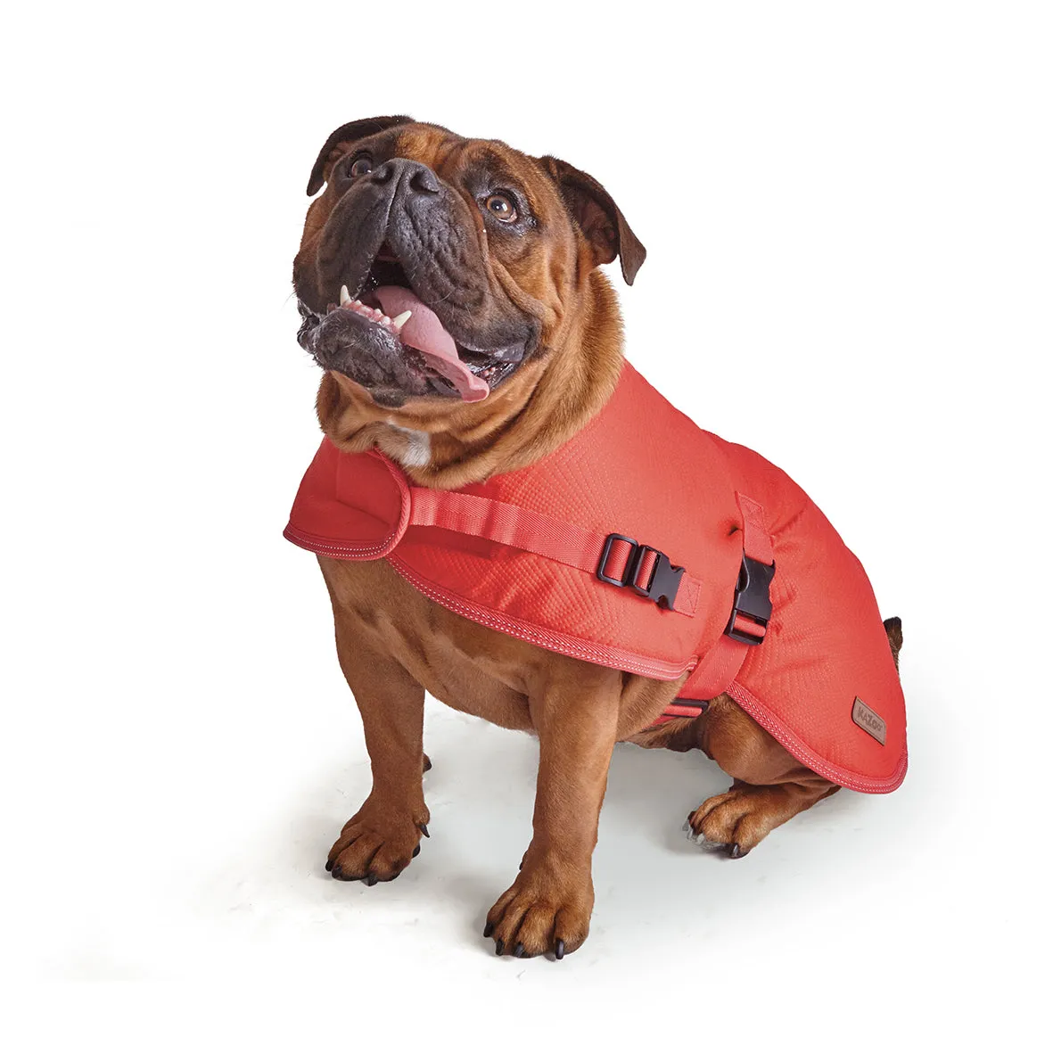 Adventure Dog Coat - Red