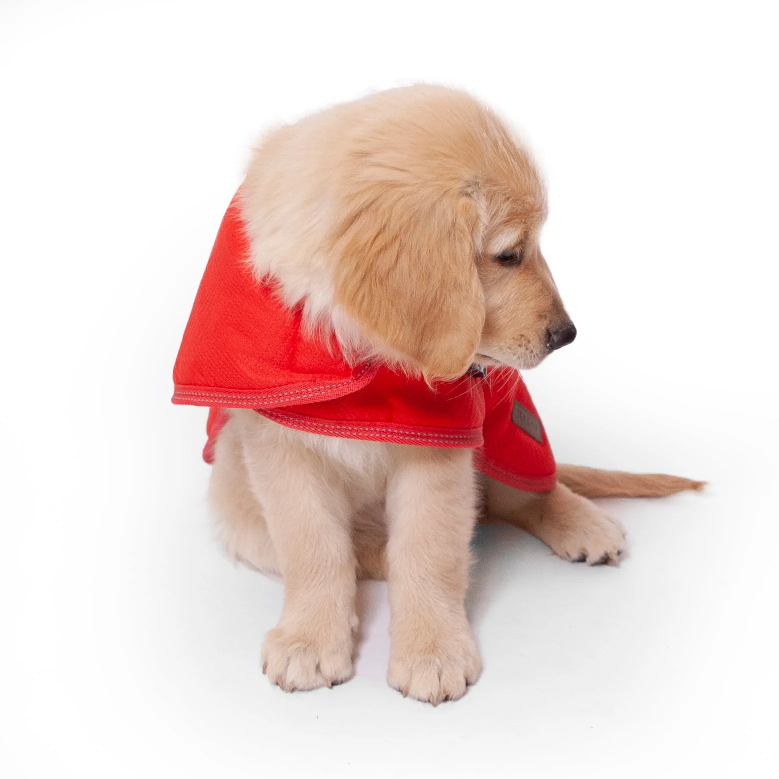 Adventure Dog Coat - Red