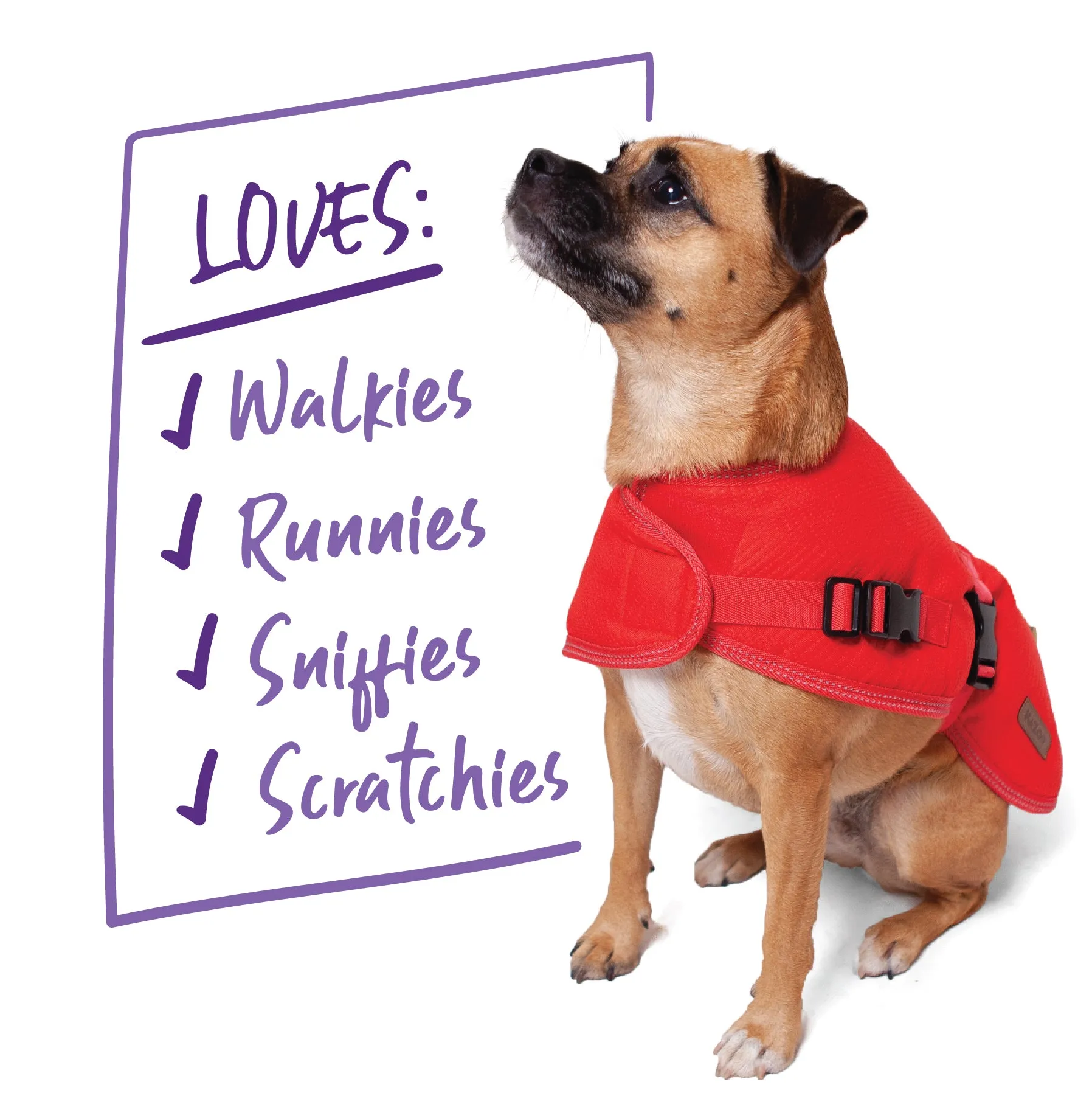 Adventure Dog Coat - Red