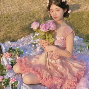 Anita the Rose Petal  of Paradise Glade          Corset Top and Skirt  Dress Set Kawaii Academia Y2K Cottagecore Coquette Fairycore Dollette Princesscore Bottoms
