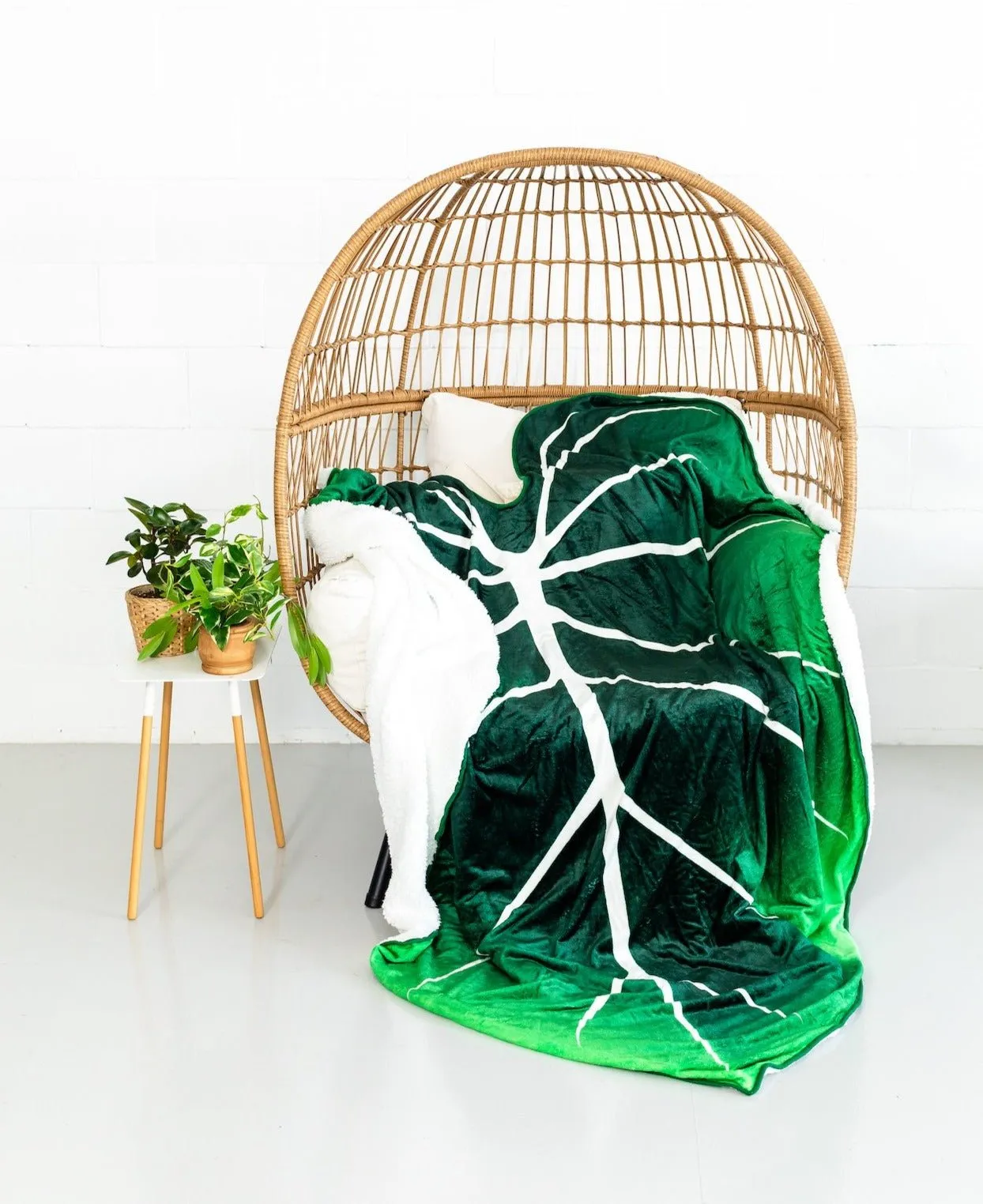 Gloriosum Giant Leaf Blanket