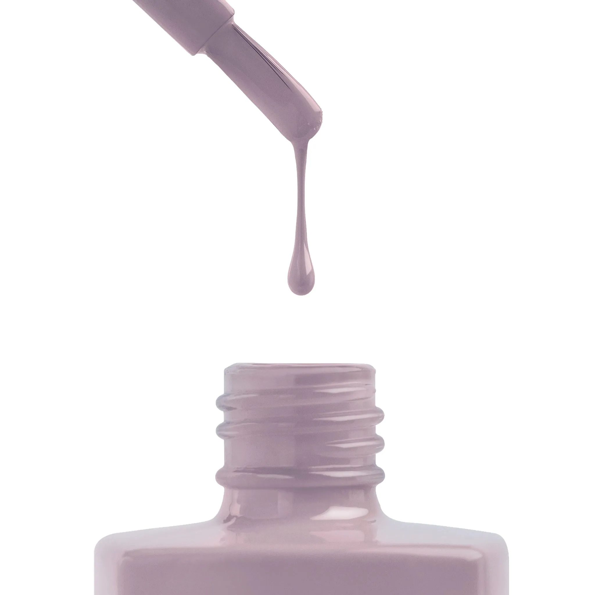 Pressed Rose - 316