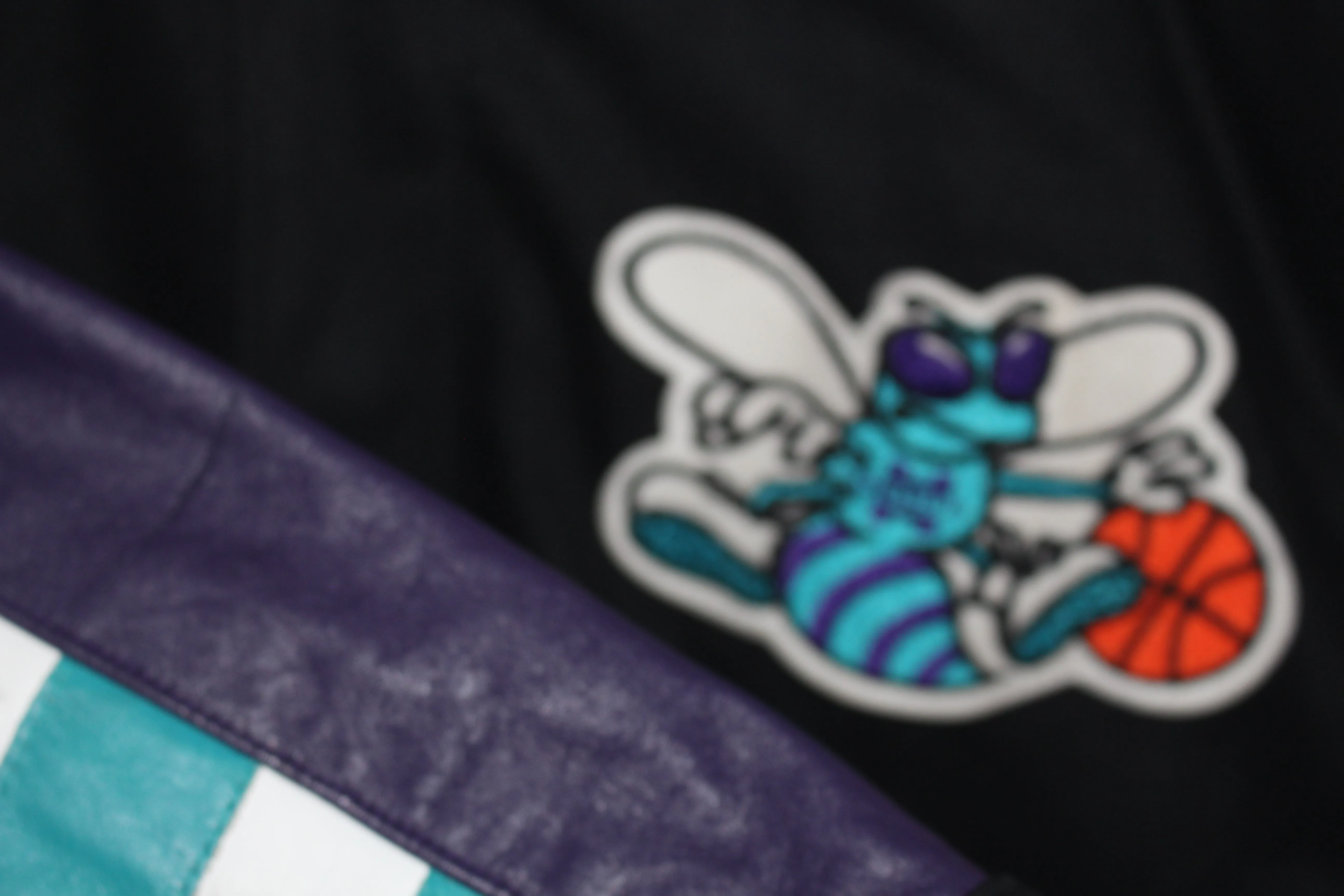 Rare Charlotte Hornets Leather Jeff Hamilton (L)