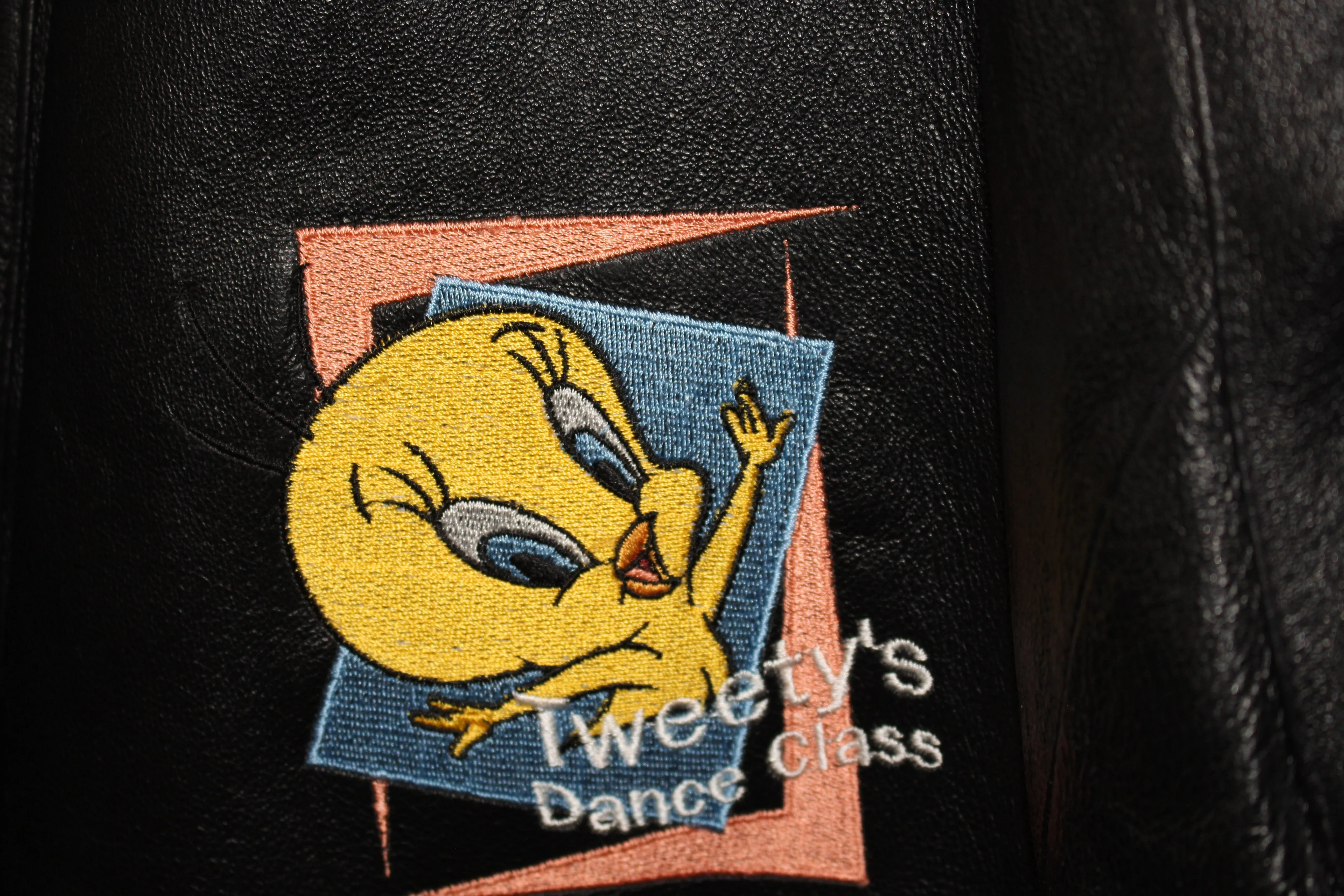 Rare Looney Tunes Tweety Bird Leather Jacket (L)