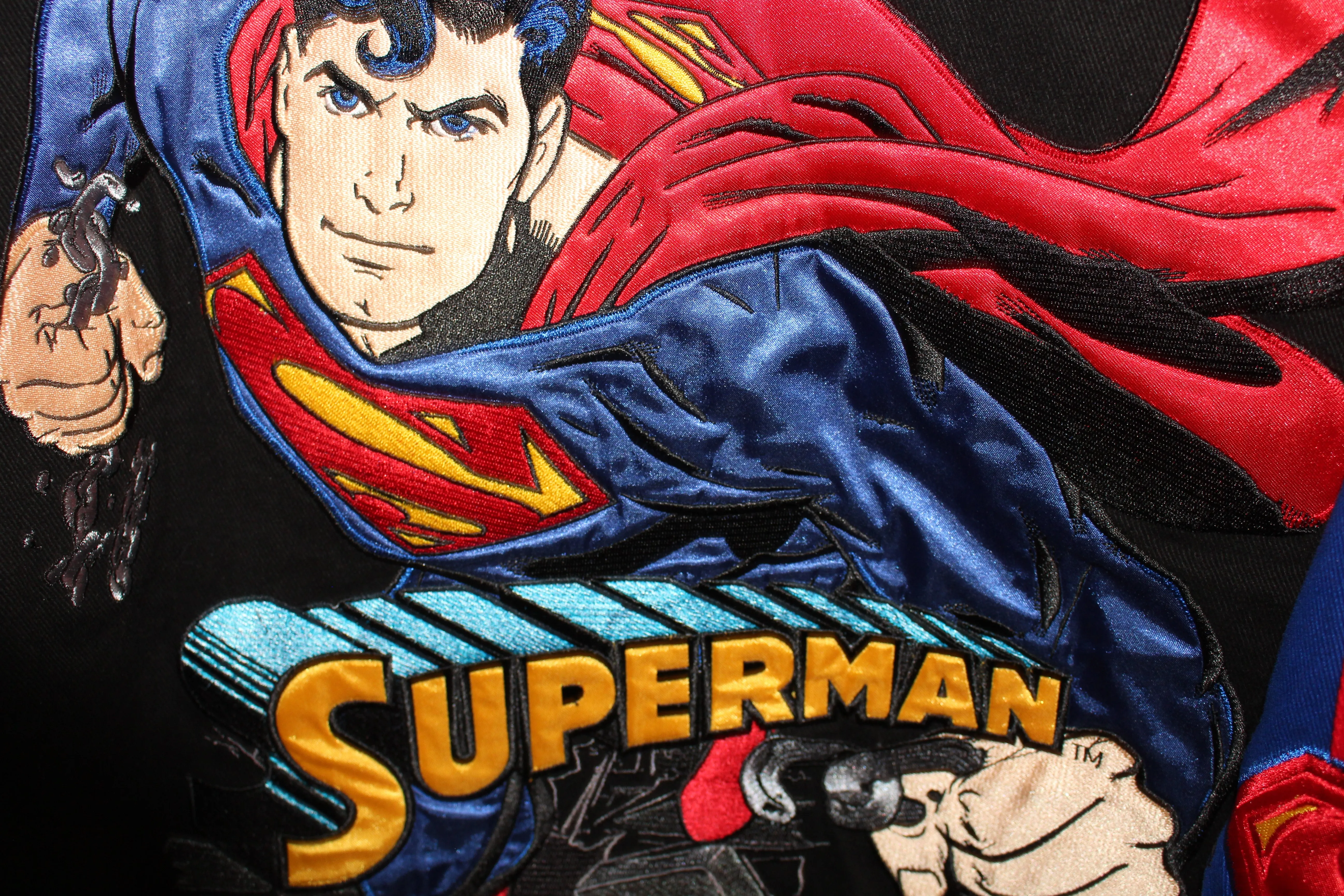 Rare Superman Racing NASCAR Dale Earnhardt Jr (XL)