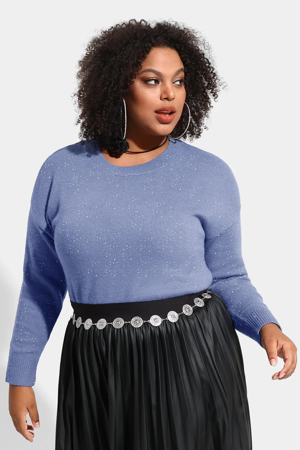 Solid Sequin Detail Long Sleeve Pullover Sweater