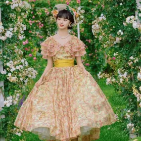Summerlane's Accomplished Ladies        Dresses Kawaii Academia Y2K Cottagecore Coquette Fairycore Dollette Princesscore