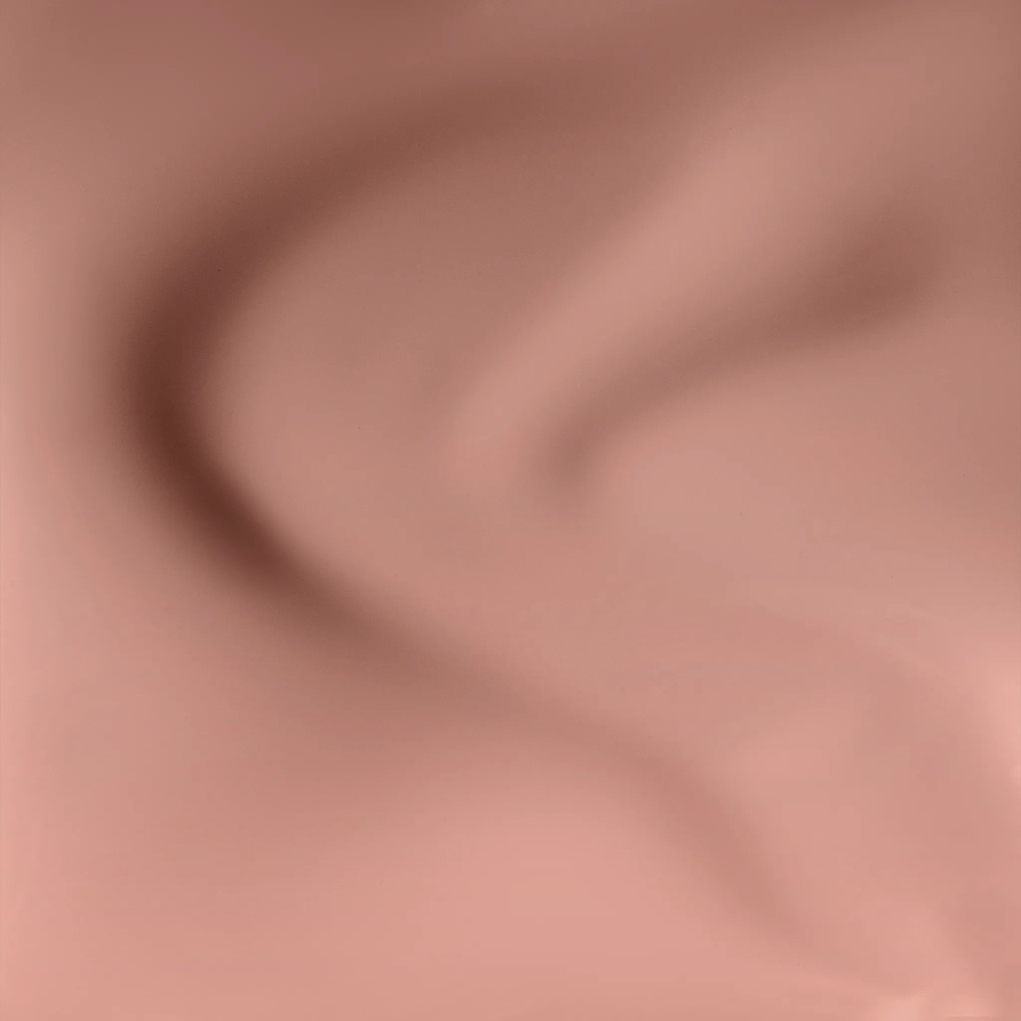 Vintage Carnation - N04